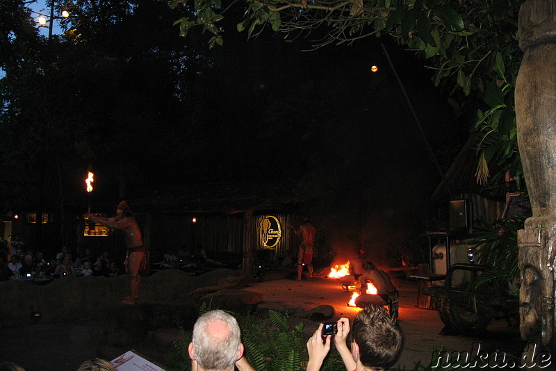Feuershow vor der Night Safari