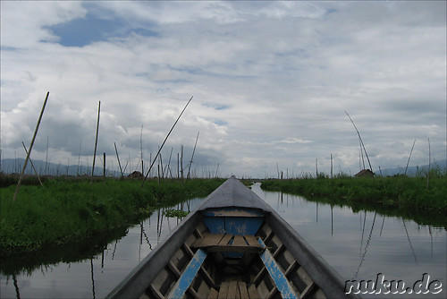 Floating Gardens auf dem Inle Lake, Myanmar