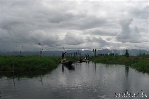 Floating Gardens auf dem Inle Lake, Myanmar