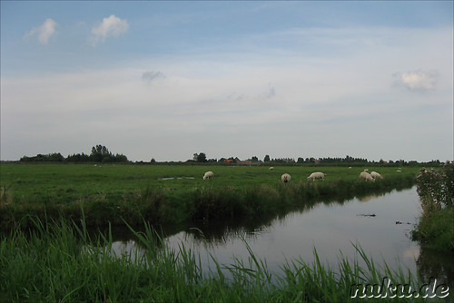 Freilichtmuseum Zaanse Schans in den Niederlanden