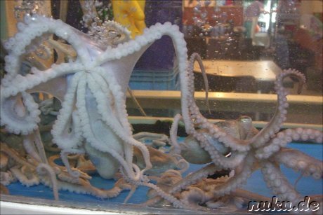 Frisch aus dem Aquarium