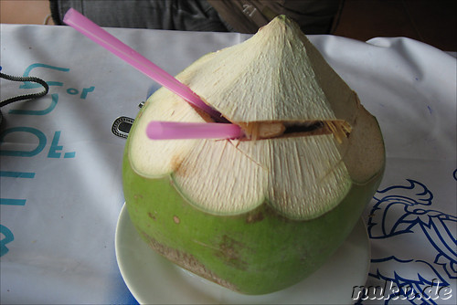 Frische Kokosnussmilch