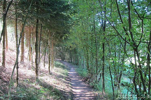 Geocaching im Liebestal bei Viechtach im Bayrischen Wald