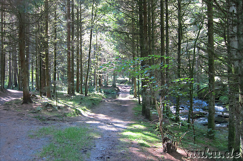 Geocaching im Liebestal bei Viechtach im Bayrischen Wald