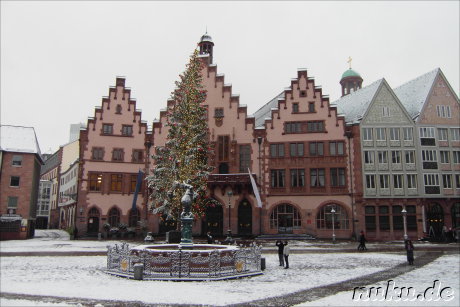 Gerechtigkeitsbrunnen und Weihnachtsbaum vor dem Frankfurter Rathaus auf dem Roemerberg