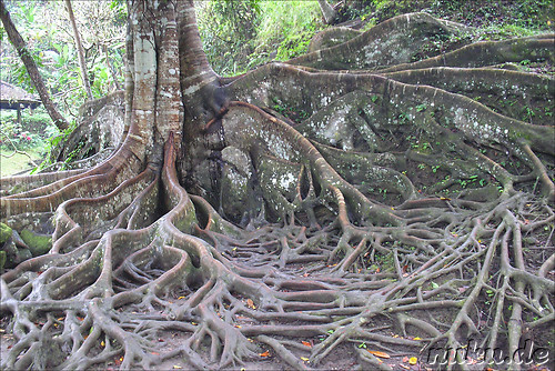 Goha Gajah Tempelhoehle in Bedulu, Bali, Indonesien