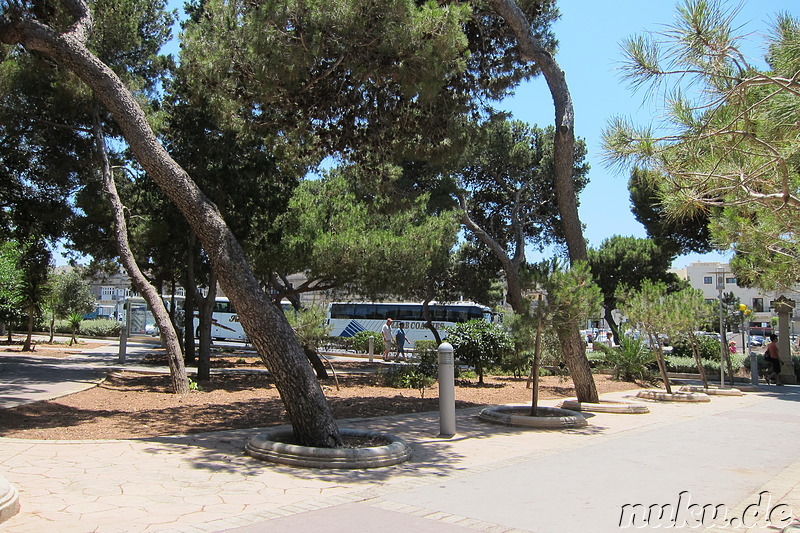 Howard Gardens - Parkanlage zwischen Mdina und Rabat auf Malta