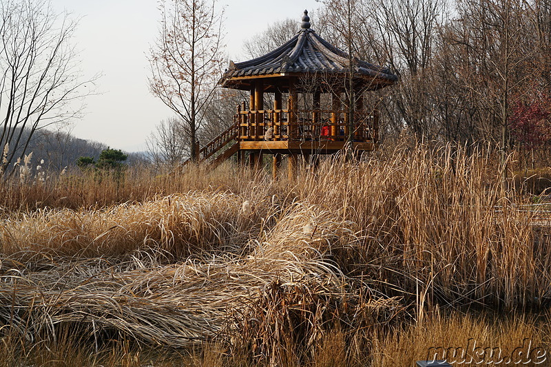 Im Bucheon Natural Ecology Park (부천자연생태공원) in Bucheon, Gyeonggi-do, Korea