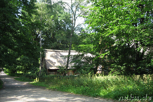 In der L&uuml;neburger Heide (D&ouml;hle, Wilsede)