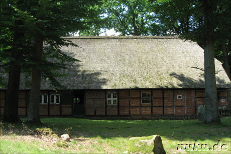 In der Lüneburger Heide (Döhle, Wilsede) In der Lüneburger Heide (Döhle, Wilsede)