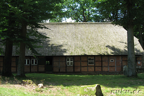 In der L&uuml;neburger Heide (D&ouml;hle, Wilsede)