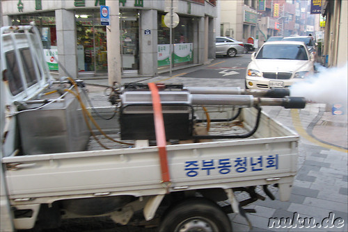 Insektenkiller in Gyeongju, Korea