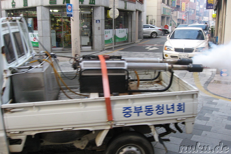 Insektenkiller in Gyeongju, Korea