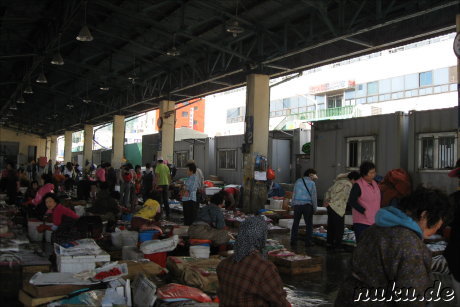 Jagalchi Fischmarkt in Busan, Korea