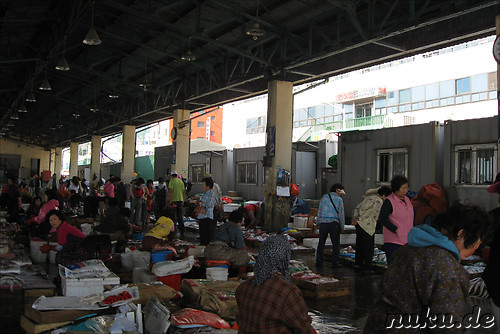 Jagalchi Fischmarkt in Busan, Korea