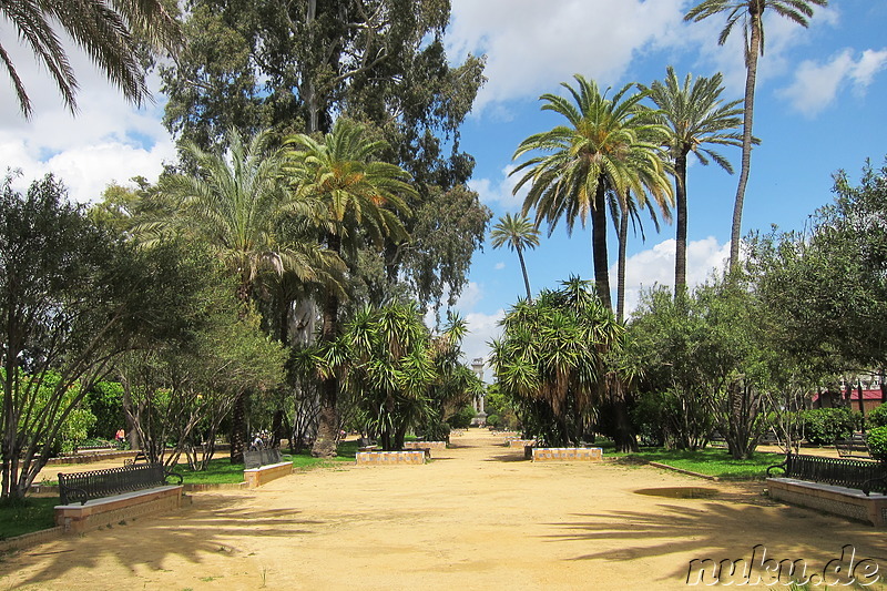 Jardines del Alcazar in Sevilla, Spanien
