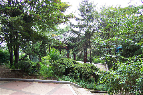 Jayu Park in Incheon