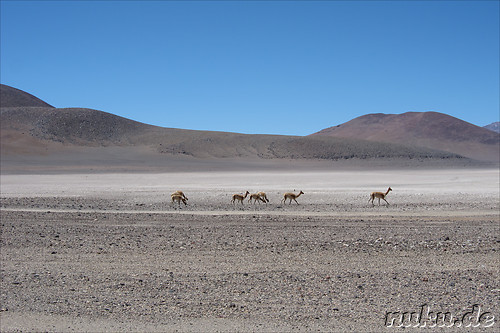 Jeeptour durch die Wueste in Uyuni, Bolivien
