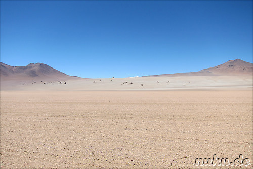 Jeeptour durch die Wueste in Uyuni, Bolivien