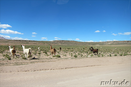 Jeeptour durch die Wueste in Uyuni, Bolivien
