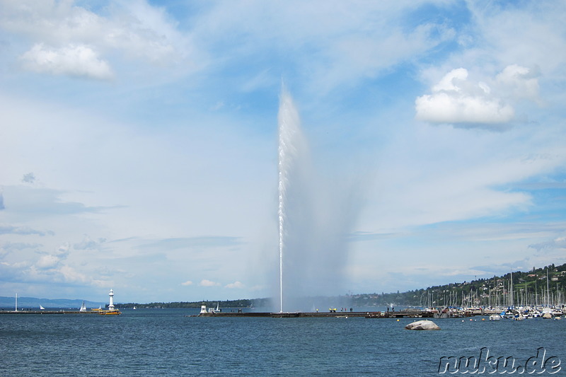 Jet d’eau - Springbrunnen im Hafen von Genf, Schweiz