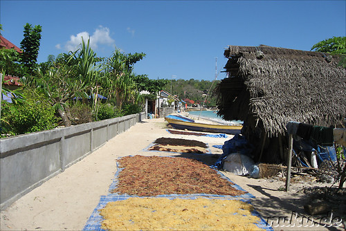 Jungutbatu und Pantai Selegimpak Straende auf Nusa Lembongan, Indonesien