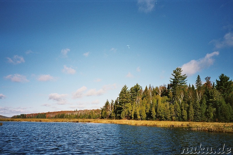 Kanutour auf einem See im Algonquin Provincial Park in Ontario, Kanada