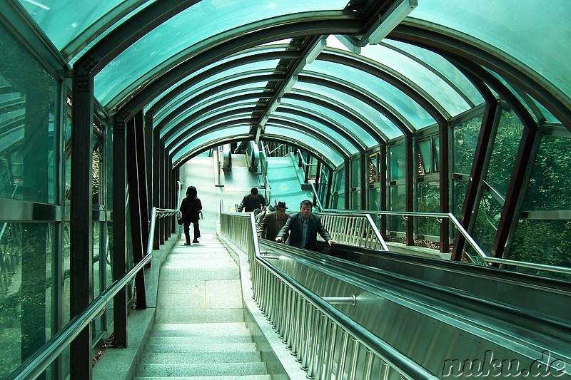 Keine Lust auf Bergsteigen? - Nicht nur in Hong Kong gibt es die Outdoor-Rolltreppe!