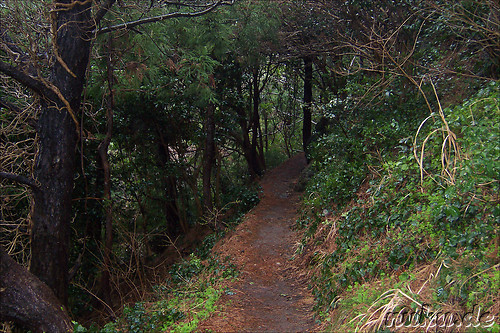 Kleiner Wanderweg auf dem Manghyangbong