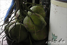 Kokosnuesse