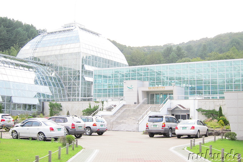 Korea National Arboretum - Gwangneung Forest, Namyangju, Gyeonggi-do, Korea