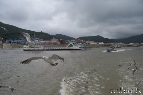 Koreaner fuettern Moeven mit Krabbenchips