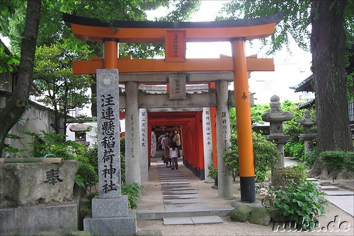 Kushida-jinja Tempel in Fukuoka, Japan