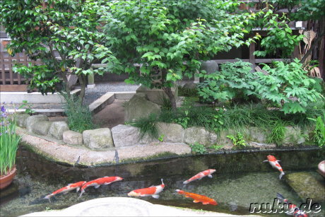 Kushida-jinja Tempel in Fukuoka, Japan