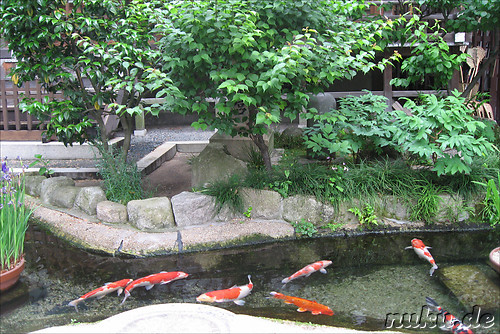 Kushida-jinja Tempel in Fukuoka, Japan