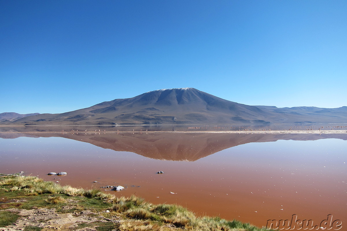 Laguna Colorada Uyuni, Bolivien, Südamerika Südamerika 2011