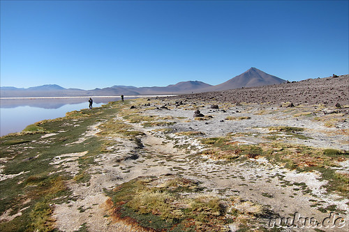 Laguna Colorada, Bolivien