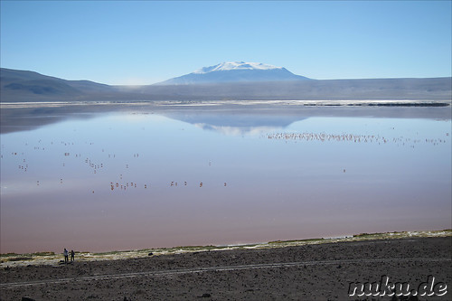 Laguna Colorada, Bolivien