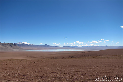 Laguna Honda, Bolivien
