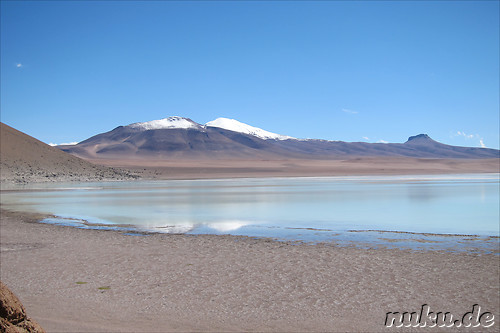 Laguna Honda, Bolivien
