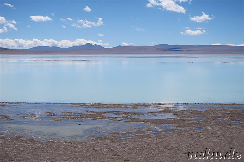 Laguna Honda, Bolivien