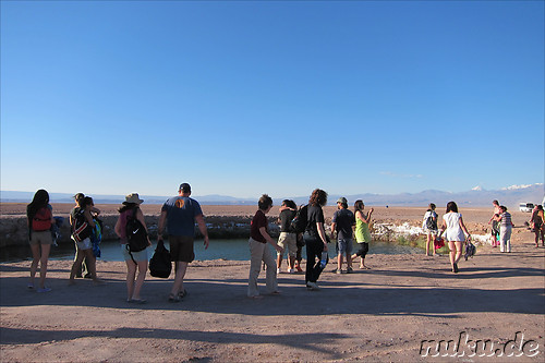 Laguna Ojos del Salar in der Atacamawueste, Chile