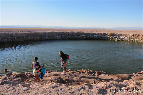 Laguna Ojos del Salar in der Atacamawueste, Chile