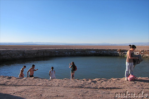 Laguna Ojos del Salar in der Atacamawueste, Chile