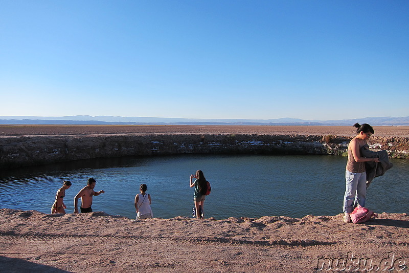 Laguna Ojos del Salar in der Atacamawüste, Chile