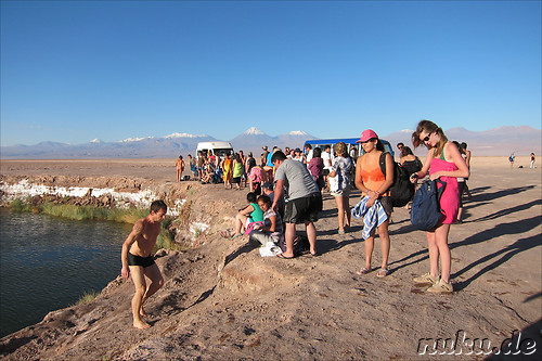 Laguna Ojos del Salar in der Atacamawueste, Chile