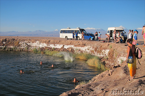 Laguna Ojos del Salar in der Atacamawueste, Chile