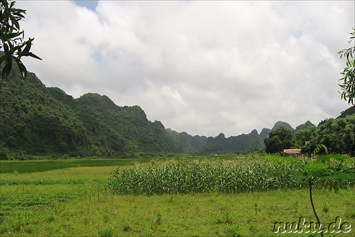 Landschaft