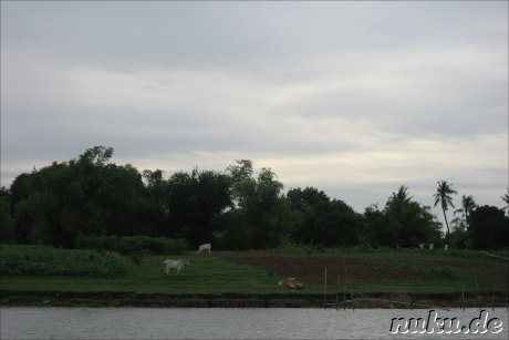 Landschaft, Kambodscha