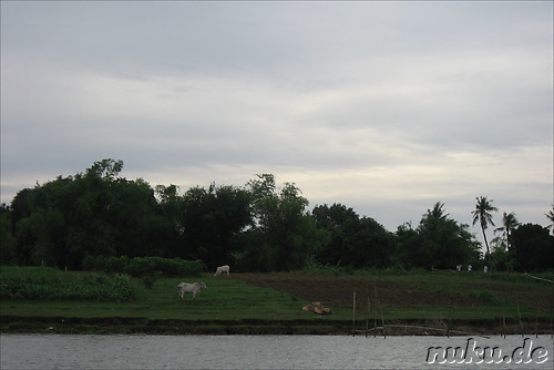 Landschaft, Kambodscha